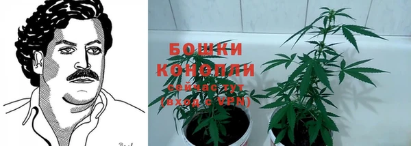 сатива Богданович
