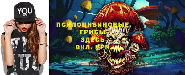 дживик Михайловск